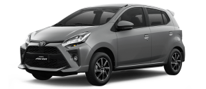 Agya-plata_0-300x130