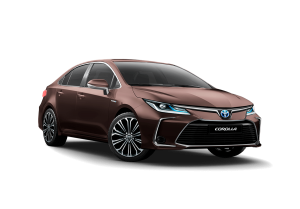 CorollaHybrid-marron-300x209