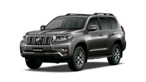 lcp-gris-mica-metalico_0-300x169