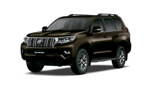 lcp-marron-perlado_0-300x169