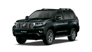 lcp-negromica-1-300x169